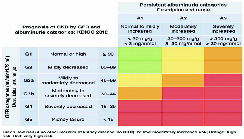 H ng D n KDIGO 2024 i u Tr B nh Th n M n H ng D n KDIGO 2024 i u Tr B nh Th n M n